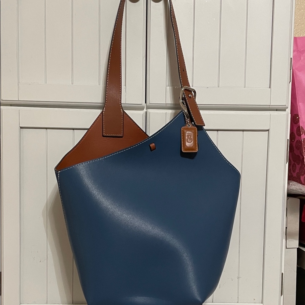 Elegant Blue and Brown Women's Tote Bag